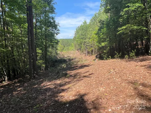 0 South Mountain DR #16, Nebo, NC 28761