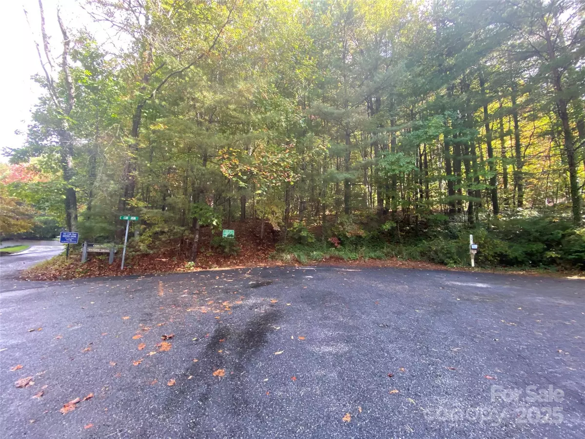 Hendersonville, NC 28739,98 Oak Gate DR #Lot 36 and Block H