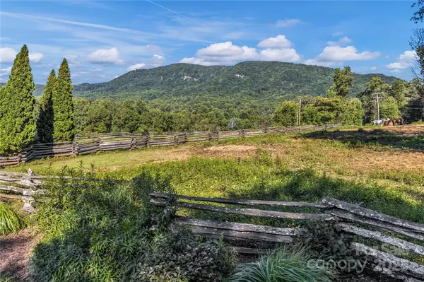 Fairview, NC 28730,76 Drovers LN