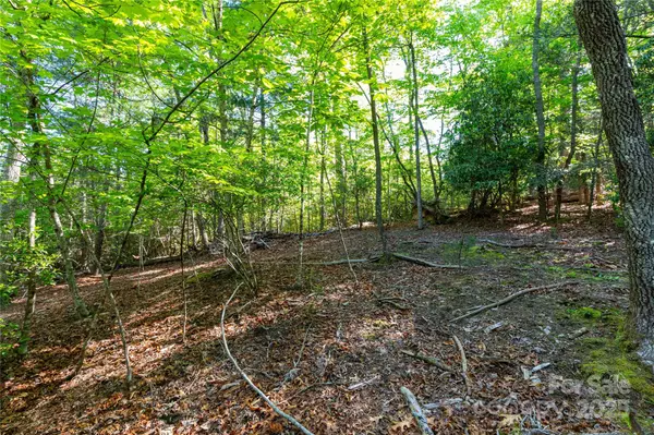 Fairview, NC 28730,76 Drovers LN