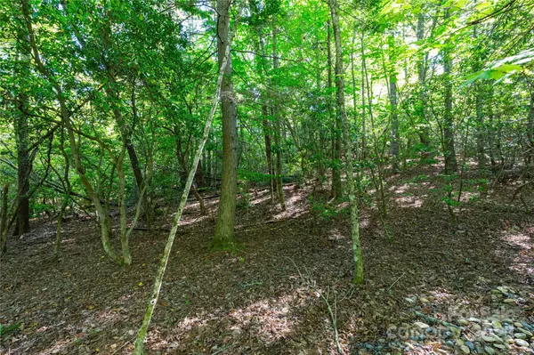 Fairview, NC 28730,76 Drovers LN