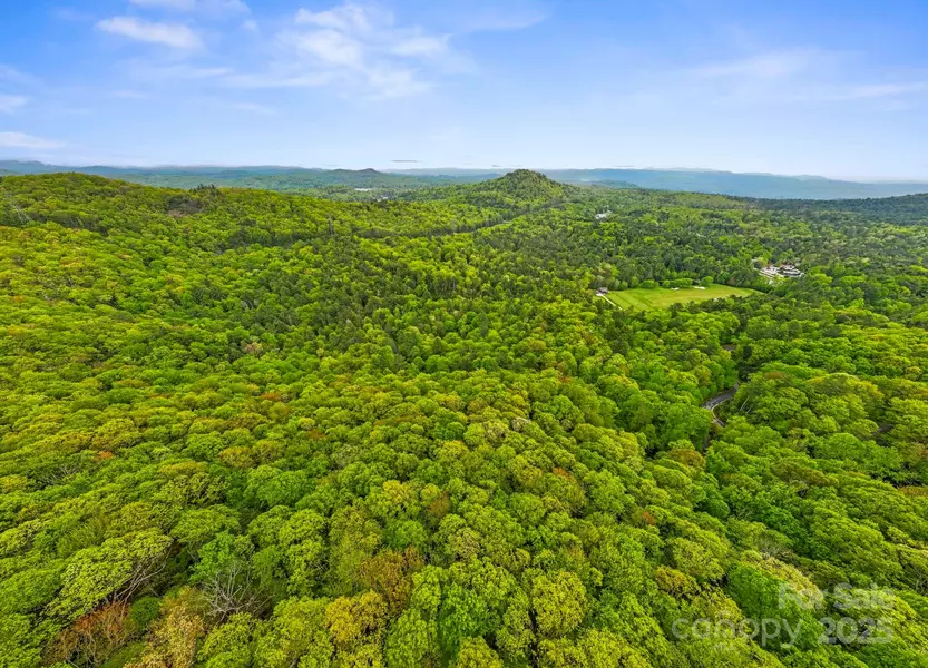 TBD Hickory Shaft DR, Sapphire, NC 28772