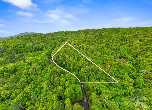 Sapphire, NC 28772,TBD Hickory Shaft DR