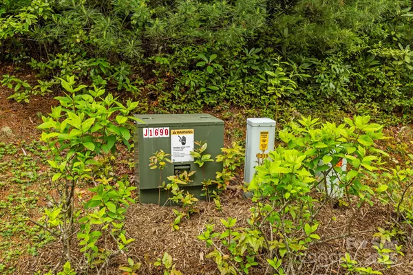 Sapphire, NC 28772,TBD Hickory Shaft DR