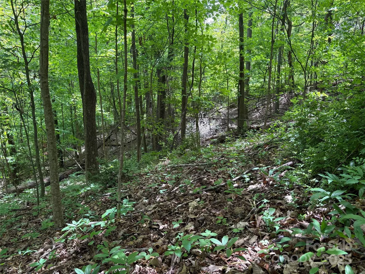 Waynesville, NC 28786,TBD Adams ST #1