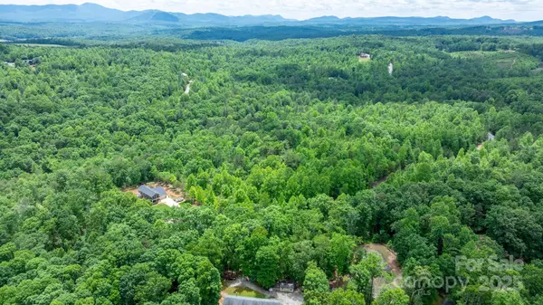 Nebo, NC 28761,TBD Darrow DR #95