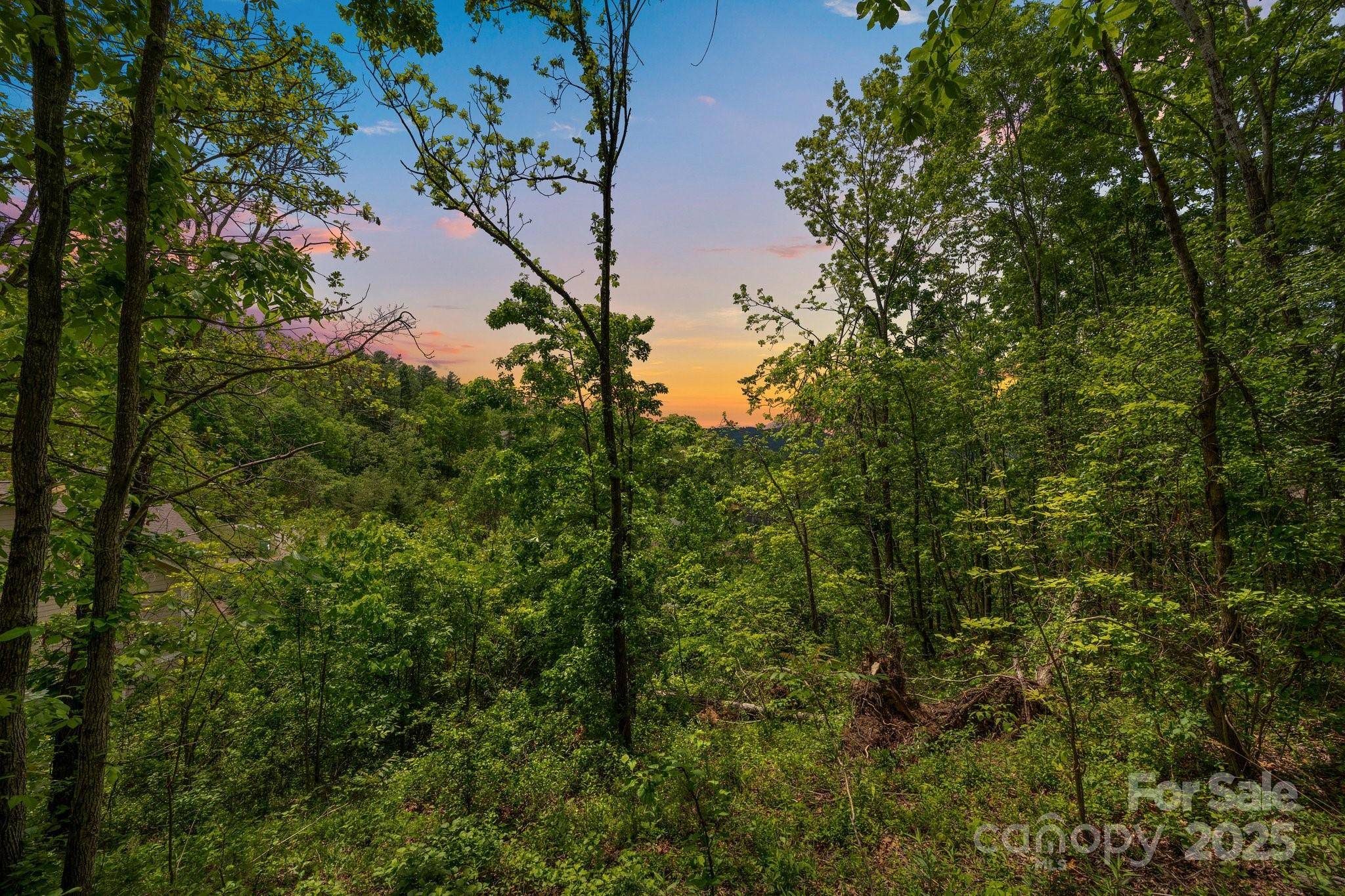 Weaverville, NC 28787,46 Hawtree CT #255
