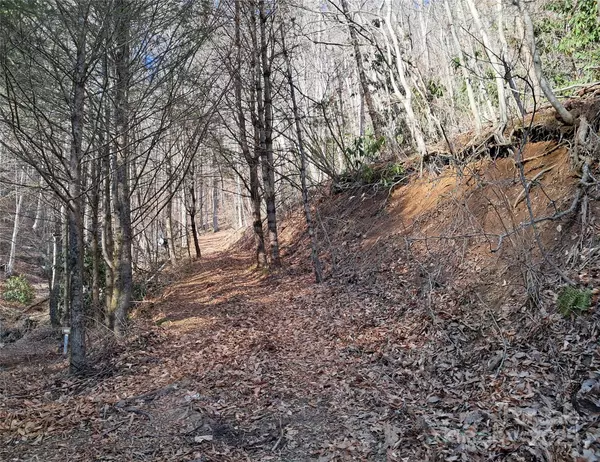 Clyde, NC 28721,9999 Off Hurricane Ridge TRCE