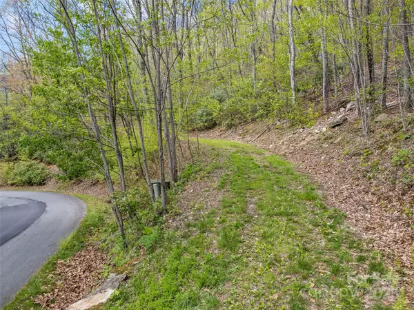 Waynesville, NC 28751,Lot G-50 Odalu TRL #G-50