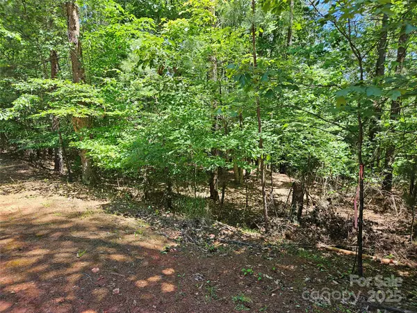 Connelly Springs, NC 28612,2446 W Paradise Harbor DR #13