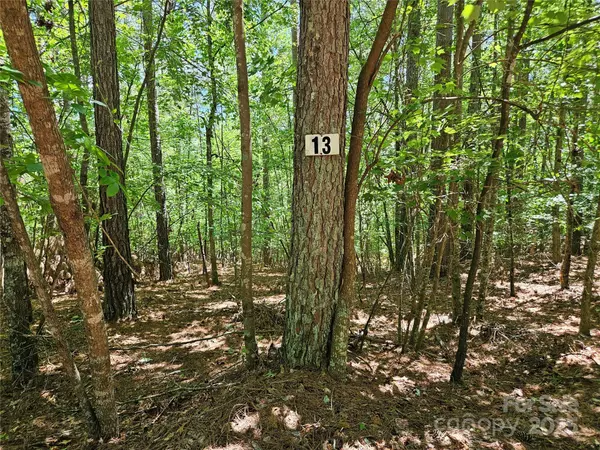 Connelly Springs, NC 28612,2446 W Paradise Harbor DR #13