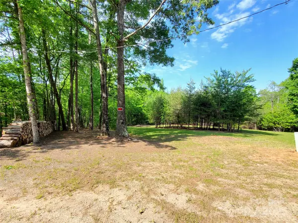 Rutherfordton, NC 28139,287 Ted Smith RD