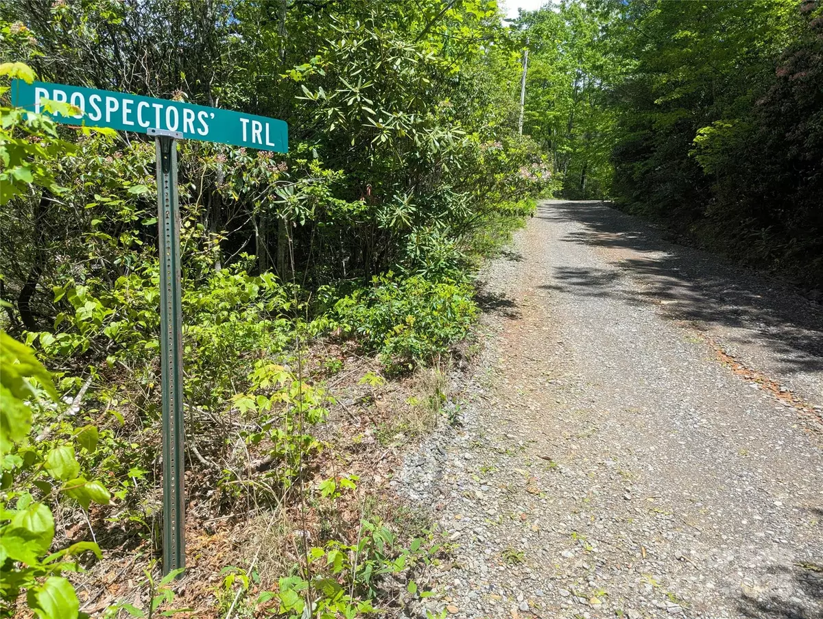 Black Mountain, NC 28711,99999 Prospectors TRL