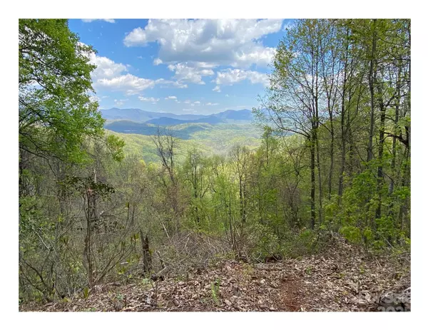 1029 Kestrel LN #T-72, Black Mountain, NC 28711