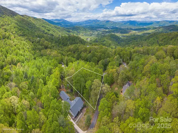 Waynesville, NC 28786,00 Hoot Owl RDG