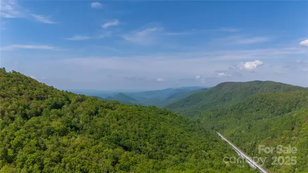 Zirconia, NC 28790,107 Spruce LN