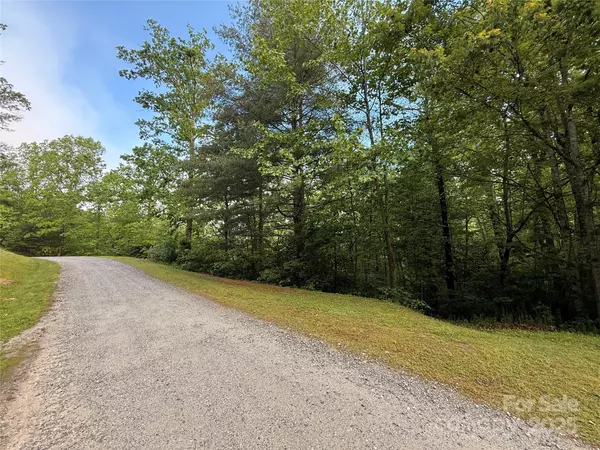 Zirconia, NC 28790,0000 Camp Cove RD