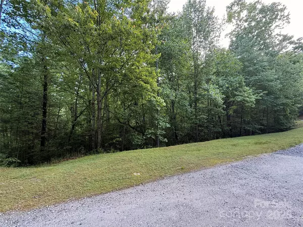 Zirconia, NC 28790,0000 Camp Cove RD