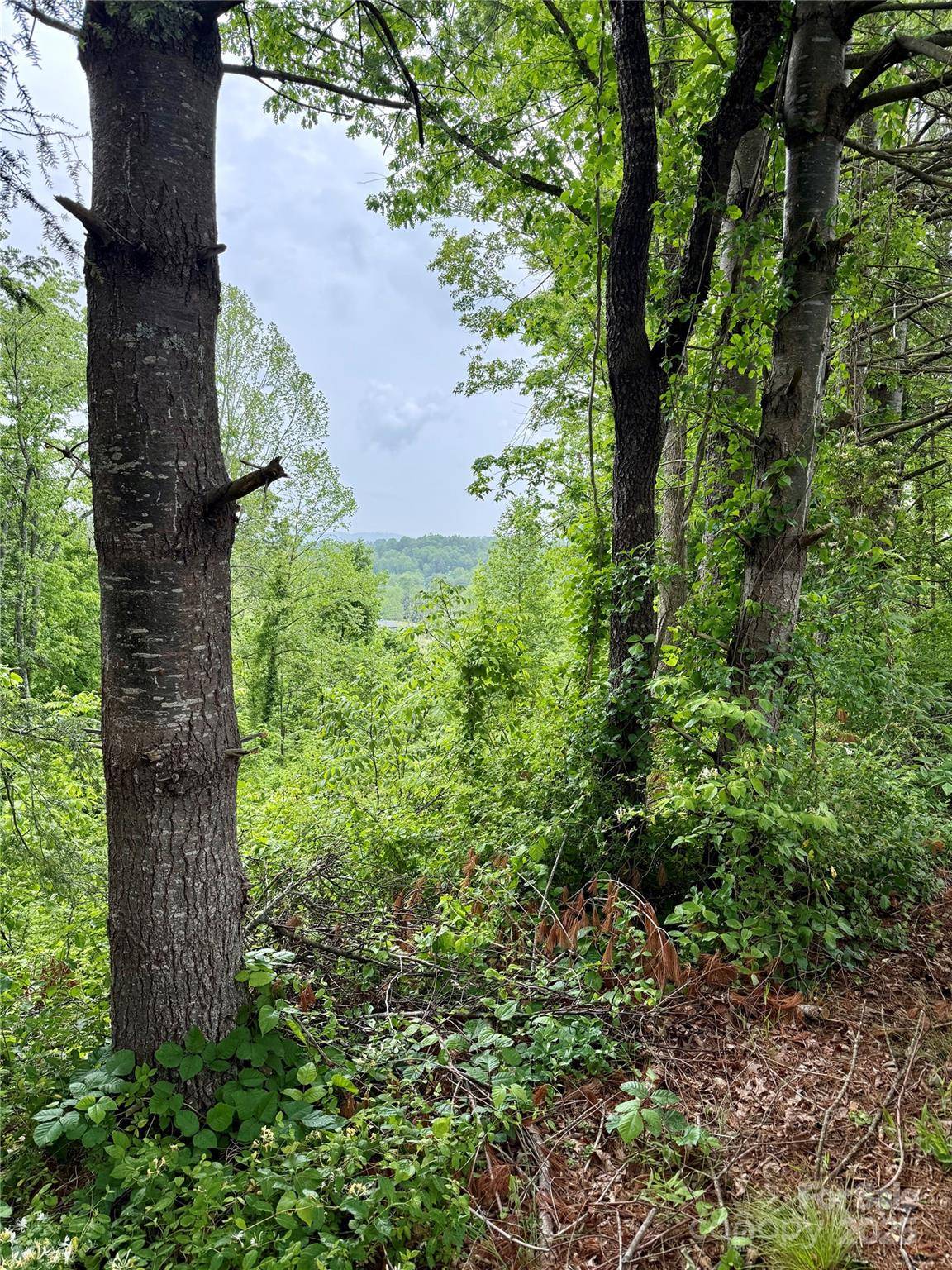 Weaverville, NC 28787,12 Willow Knoll DR