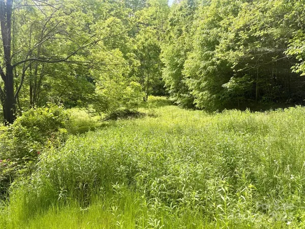 Bryson City, NC 28713,321 Mount Keys DR