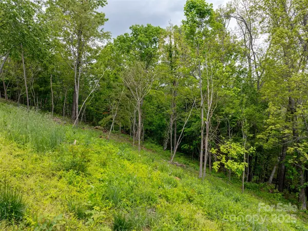 Asheville, NC 28804,124 Summit Tower CIR