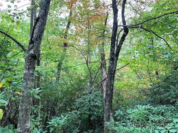 Rosman, NC 28772,000 Eastatoe Gap RD