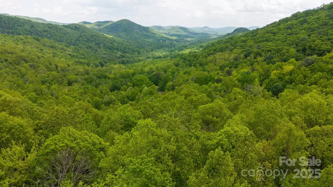 TBD Cove Gap RD #multiple lots, Moravian Falls, NC 28654