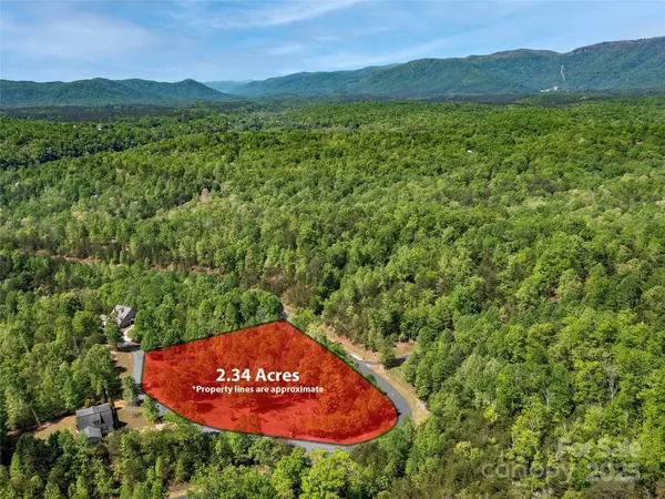 Mill Spring, NC 28756,Lot 17-1 Village Park LN
