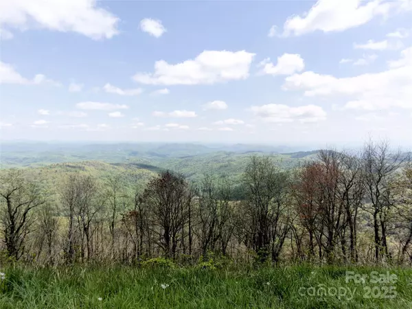 Deep Gap, NC 28618,0000 Wildcat RD