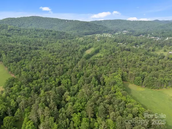 Flat Rock, NC 28731,000 Red Fox LN #19