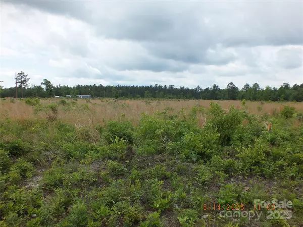 523 Oak Ridge Church RD, Kershaw, SC 29067