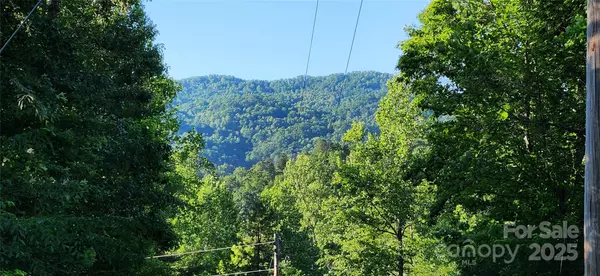Lake Lure, NC 28746,0 Buffalo Creek RD #74