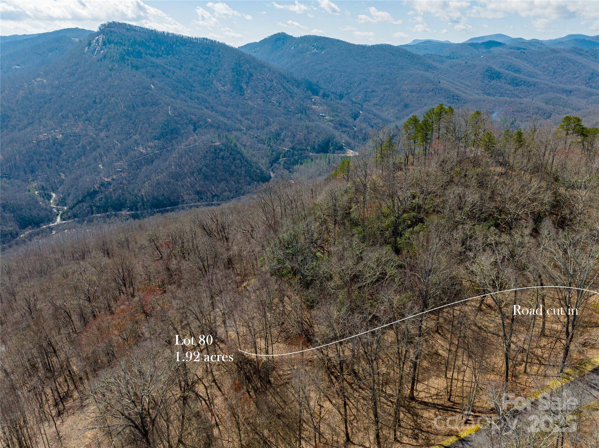 Lot 80 Waterdance DR #80, Tuckasegee, NC 28783