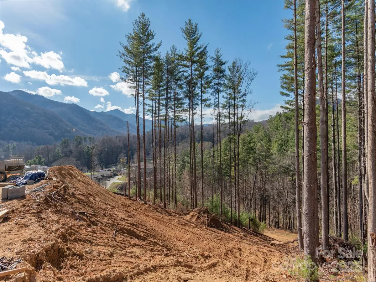 Maggie Valley, NC 28751,185 Southpoint RDG