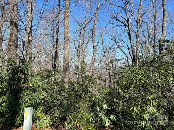 Pisgah Forest, NC 28768,0000 Reserve RD