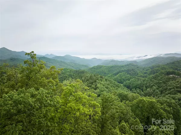 Bryson City, NC 28713,0 Pauline DR