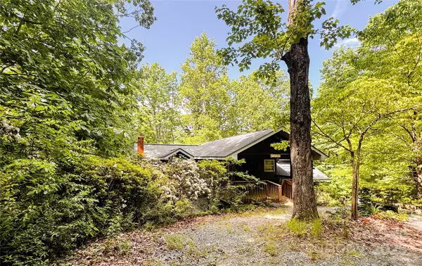 Saluda, NC 28773,60 Mountain Page RD