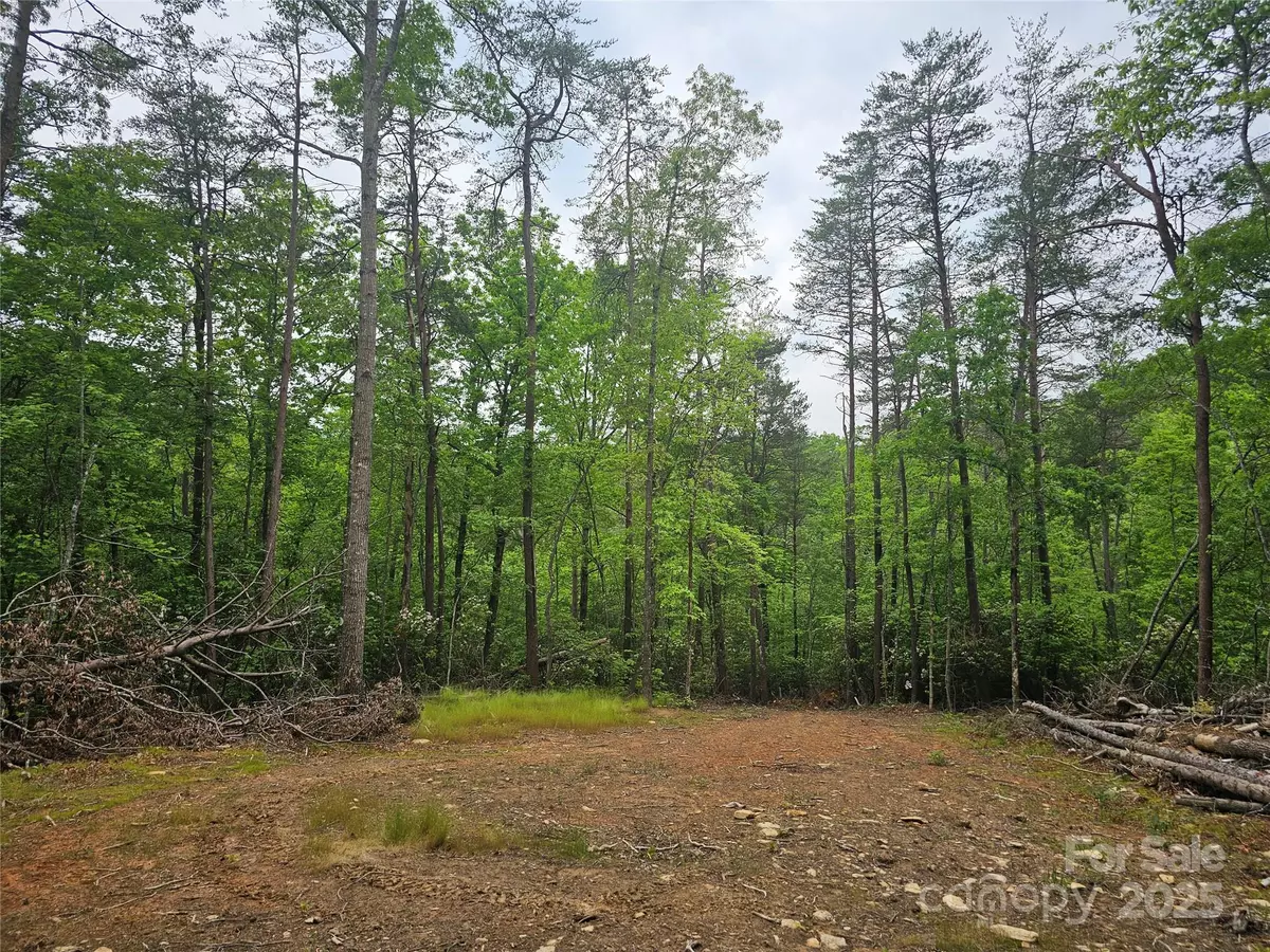 Old Fort, NC 28762,325 McGinnis RD