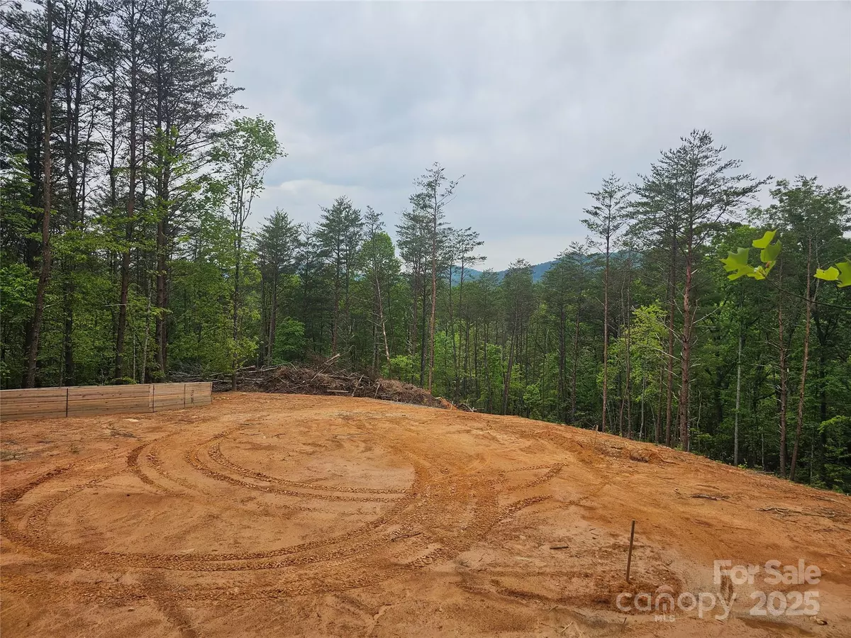 Old Fort, NC 28762,321 McGinnis RD