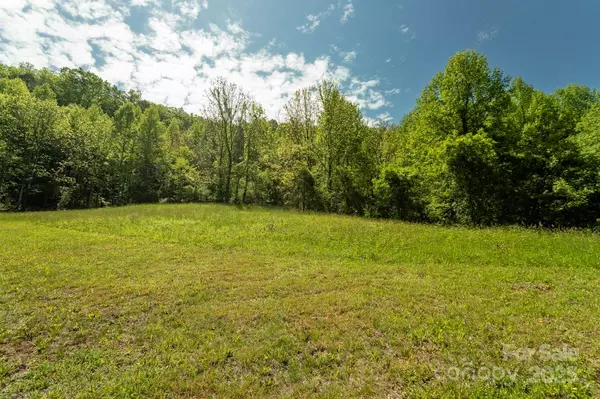 Sylva, NC 28779,Off of Locust Creek RD