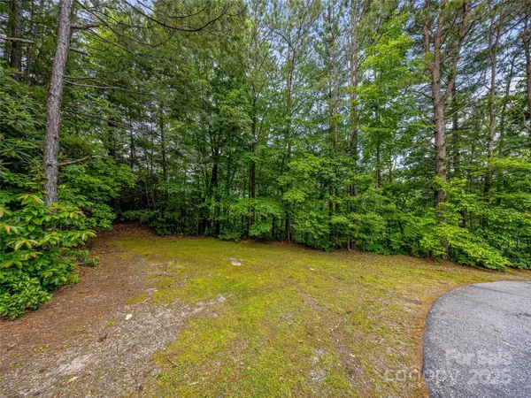 Penrose, NC 28766,Lot 33 Morgan DR