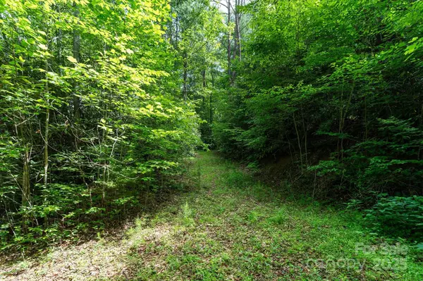 Marshall, NC 28753,99999 Guntertown RD