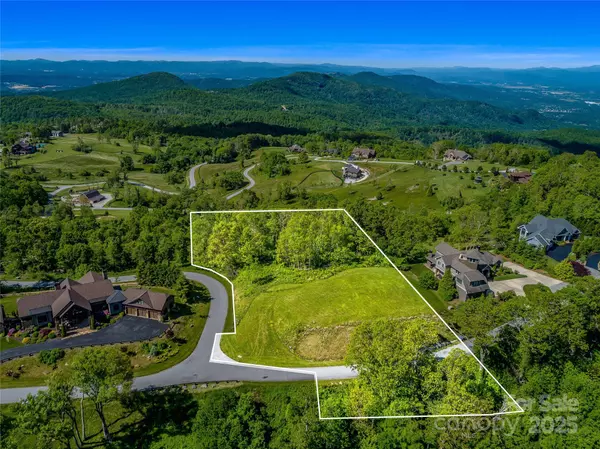 Hendersonville, NC 28792,99999 Snow Ridge DR #11