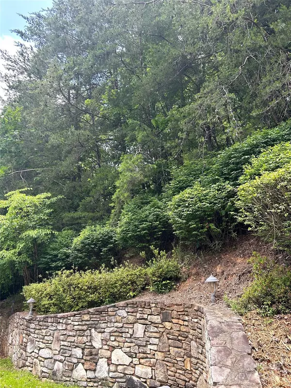 Lake Lure, NC 28746,143 Cornell CIR