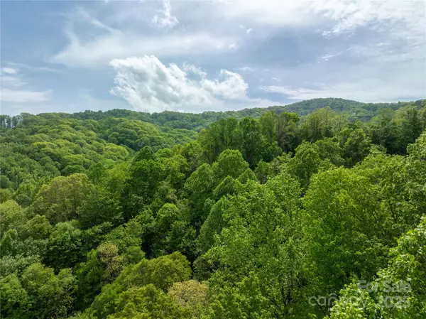 Hot Springs, NC 28743,890 Panther Branch RD