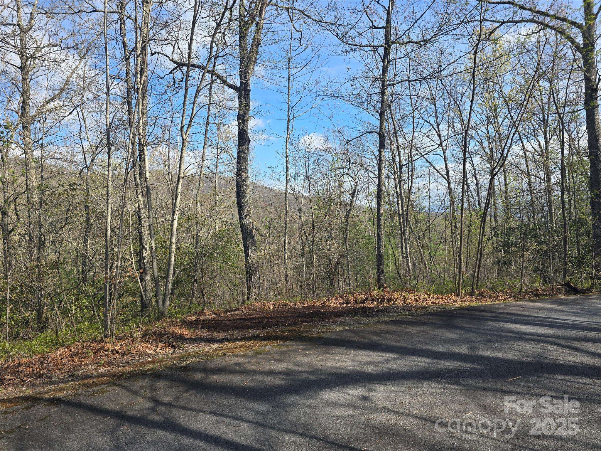 Tuckasegee, NC 28783,Lots 82-85 Waterdance DR #82,83,84,85