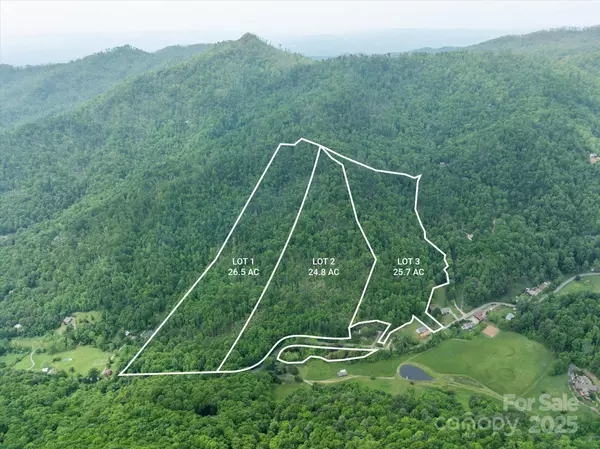 99999 Moody Cove RD #2, Weaverville, NC 28787