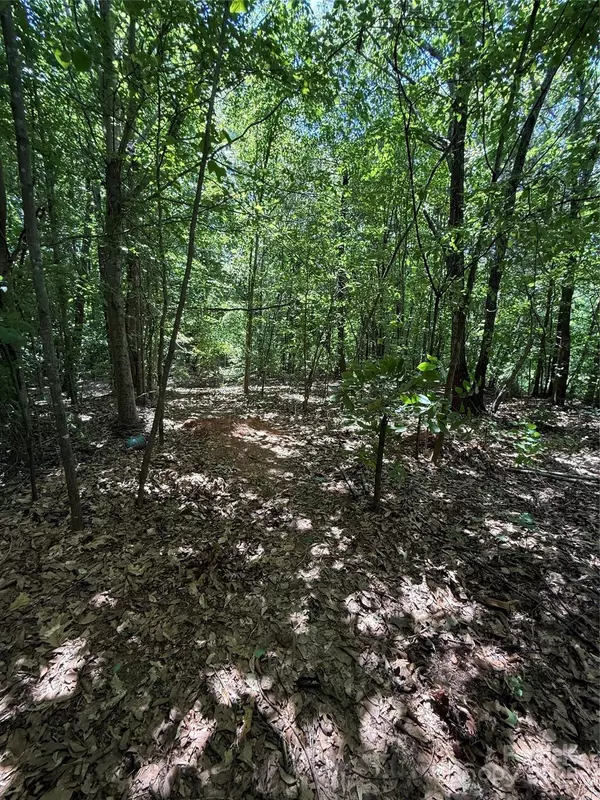 Charlotte, NC 28269,3906 Hubbard RD