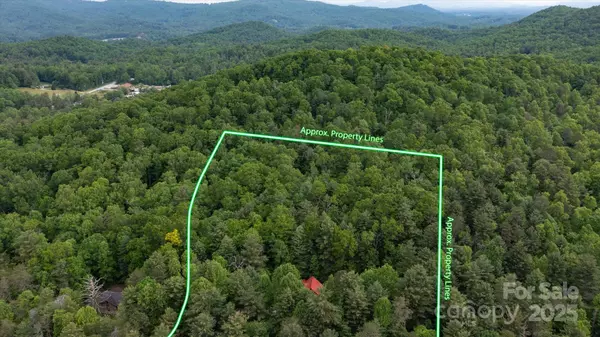 Zirconia, NC 28790,350 Stagecoach RD