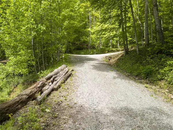 Sylva, NC 28779,Lot 21 Top Drop LN